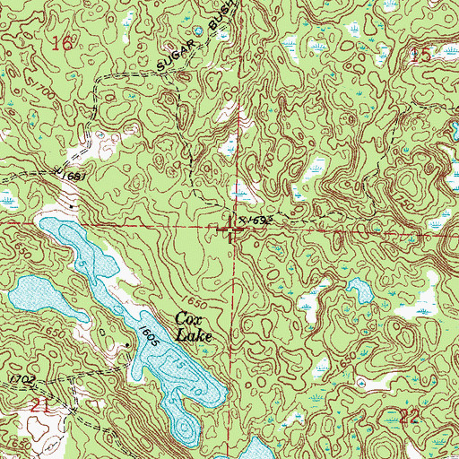 Topographic Map of Township of Long Lost Lake, MN