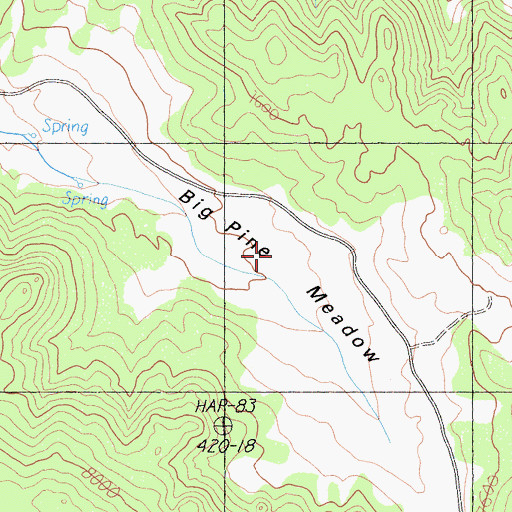 Topographic Map of Big Pine Meadow, CA