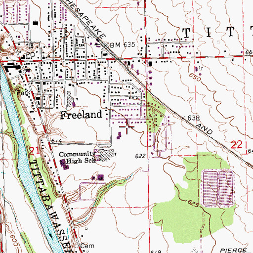 Topographic Map of Freeland Census Designated Place, MI