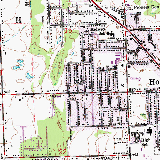 Topographic Map of Holt Census Designated Place, MI