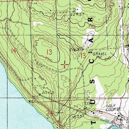 Topographic Map of Indian River Census Designated Place, MI