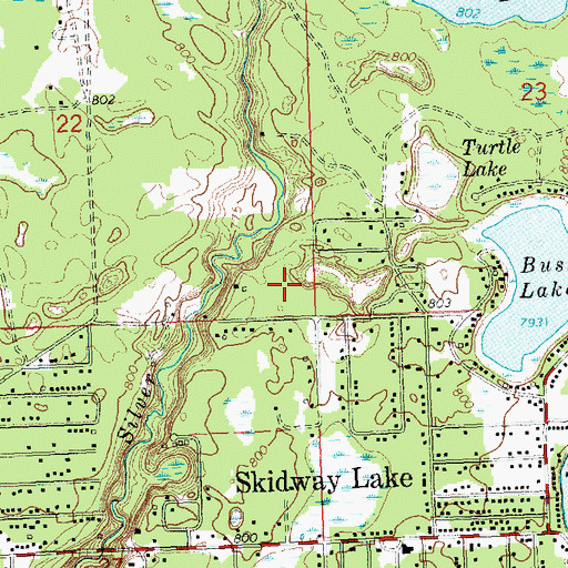 Topographic Map of Skidway Lake Census Designated Place, MI