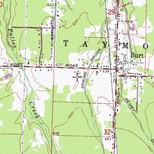 Topographic Map of Burt Census Designated Place, MI