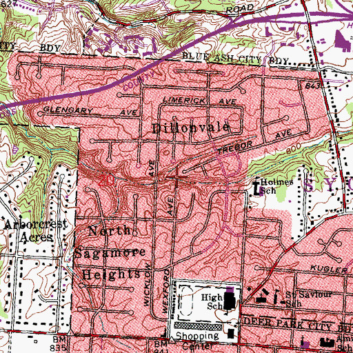 Topographic Map of Dillonvale Census Designated Place, OH