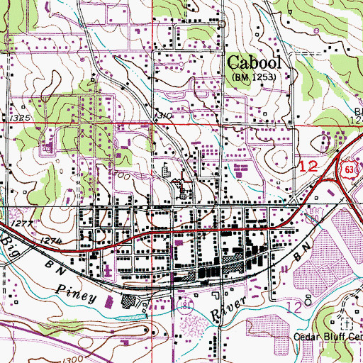 Topographic Map of City of Cabool, MO