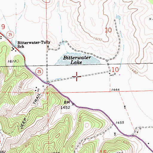 Topographic Map of Bitterwater Lake, CA