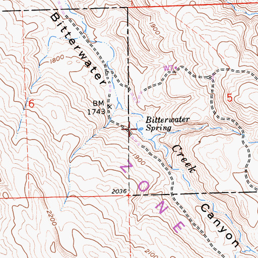 Topographic Map of Bitterwater Spring, CA