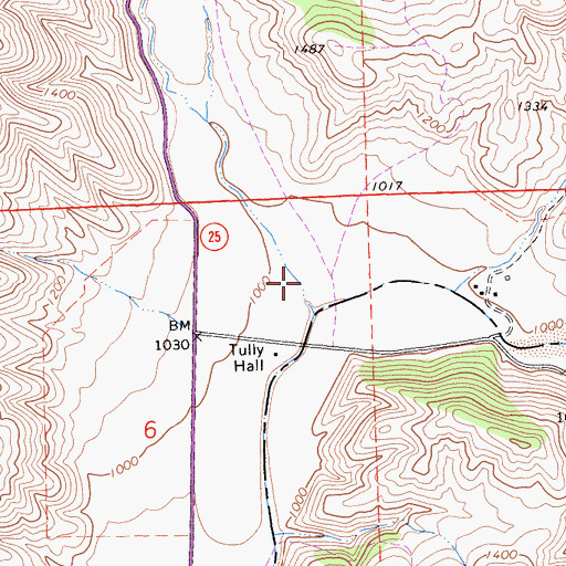 Topographic Map of Bitterwater Valley, CA