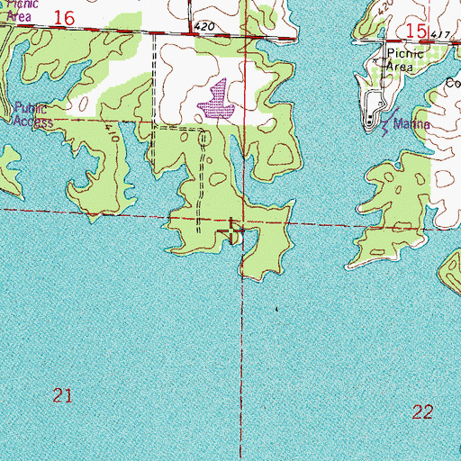 Topographic Map of Carterville Election Precinct, IL