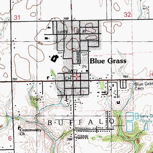Topographic Map of City of Blue Grass, IA