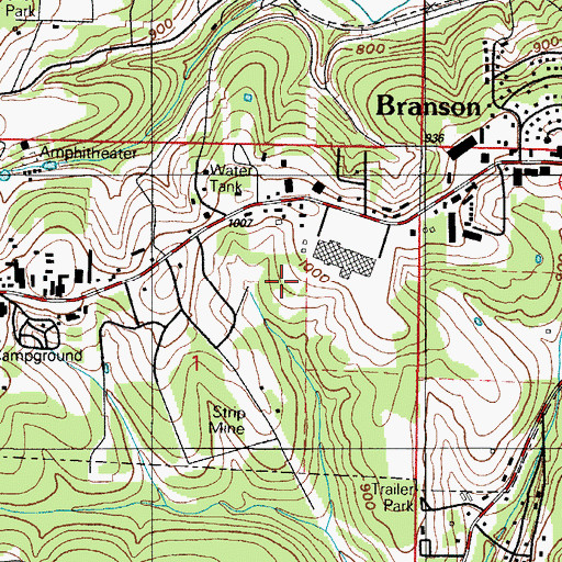 Topographic Map of City of Branson, MO