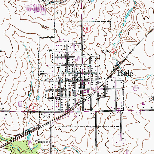 Topographic Map of City of Hale, MO