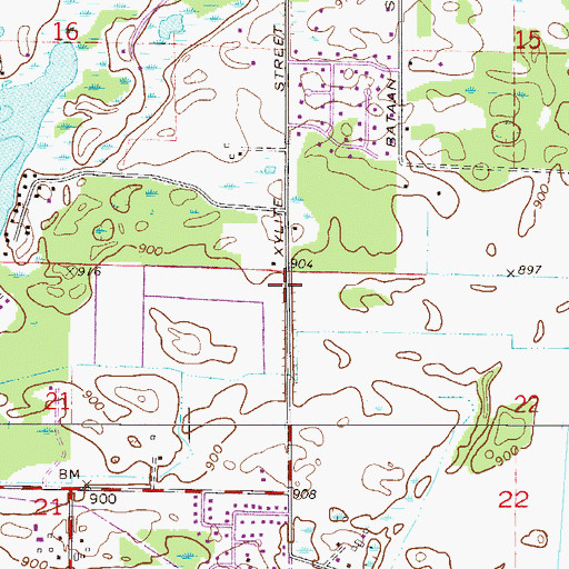 Topographic Map of City of Ham Lake, MN