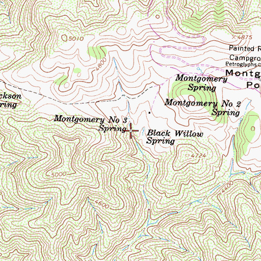 Topographic Map of Black Willow Spring, CA