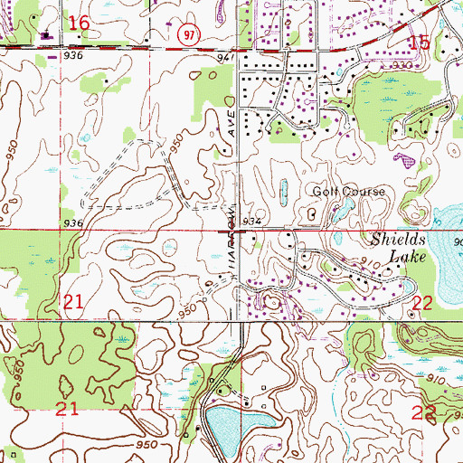 Topographic Map of City of Forest Lake, MN