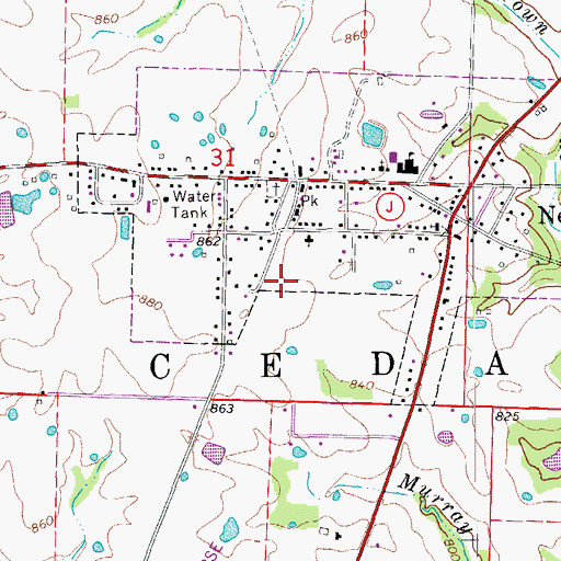Topographic Map of City of New Bloomfield, MO