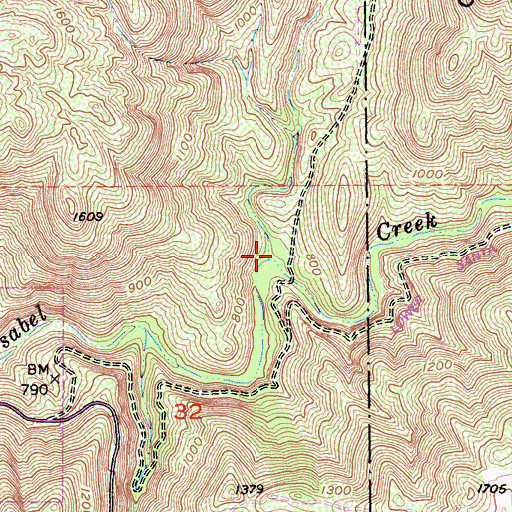 Topographic Map of Boden Canyon, CA