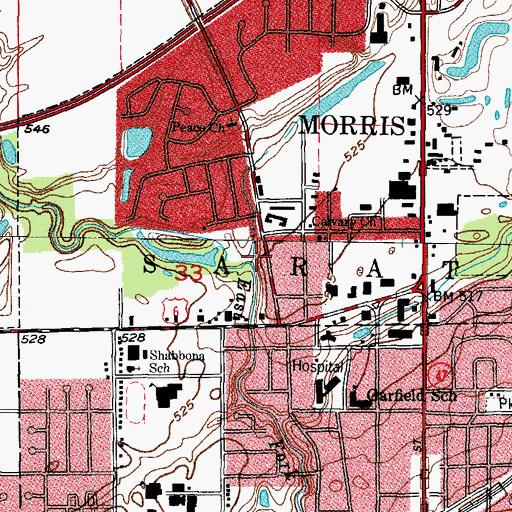 Topographic Map of City of Morris, IL
