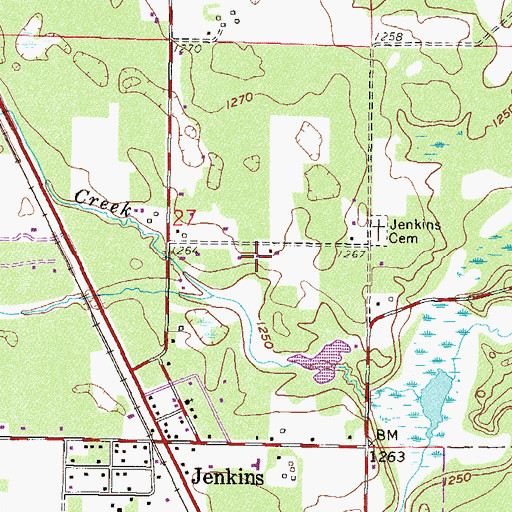 Topographic Map of City of Jenkins, MN