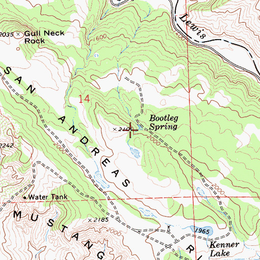 Topographic Map of Bootleg Spring, CA