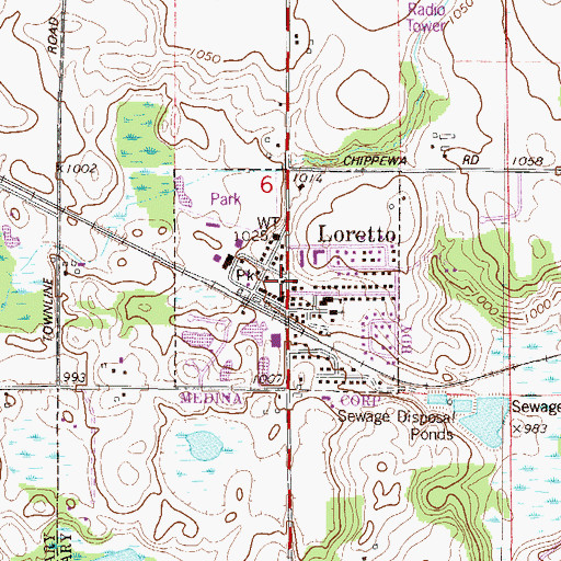 Topographic Map of City of Loretto, MN