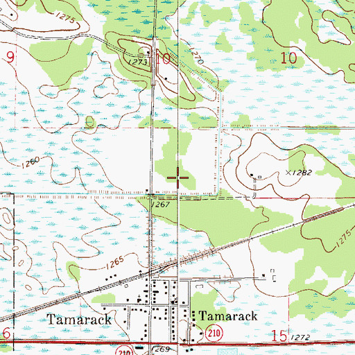 Topographic Map of City of Tamarack, MN