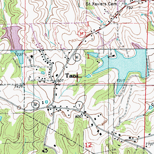 Topographic Map of City of Taos, MO