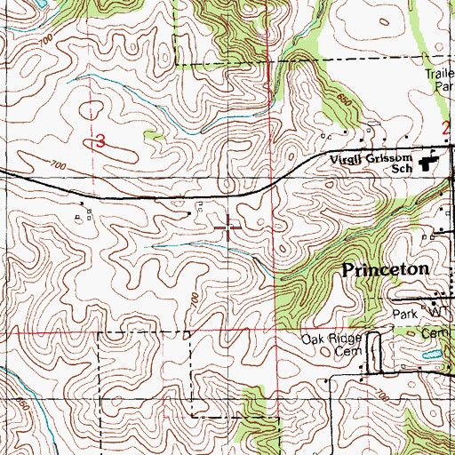 Topographic Map of City of Princeton, IA