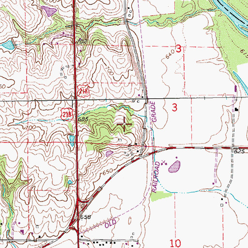 Topographic Map of City of Riverside, IA