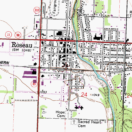 Topographic Map of City of Roseau, MN