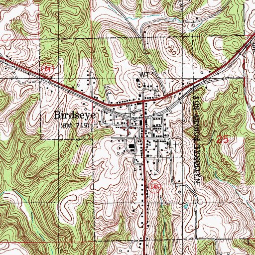 Topographic Map of Town of Birdseye, IN