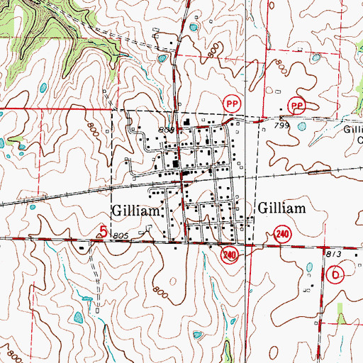 Topographic Map of City of Gilliam, MO