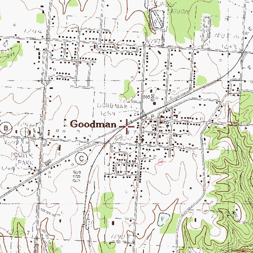 Topographic Map of Town of Goodman, MO