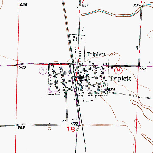 Topographic Map of City of Triplett, MO
