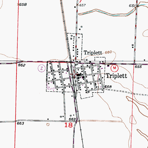 Topographic Map of City of Triplett, MO
