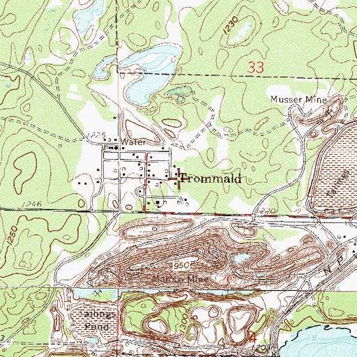 Topographic Map of City of Trommald, MN