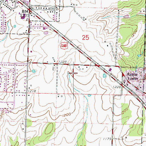 Topographic Map of City of Willard, MO