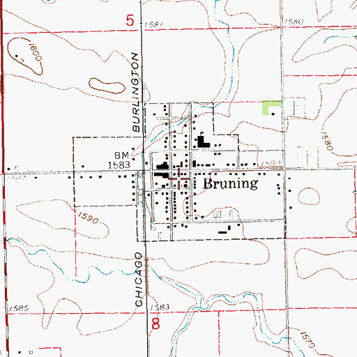 Topographic Map of Village of Bruning, NE
