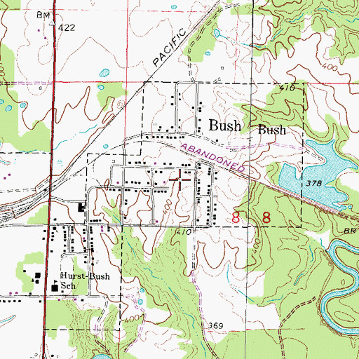 Topographic Map of Village of Bush, IL