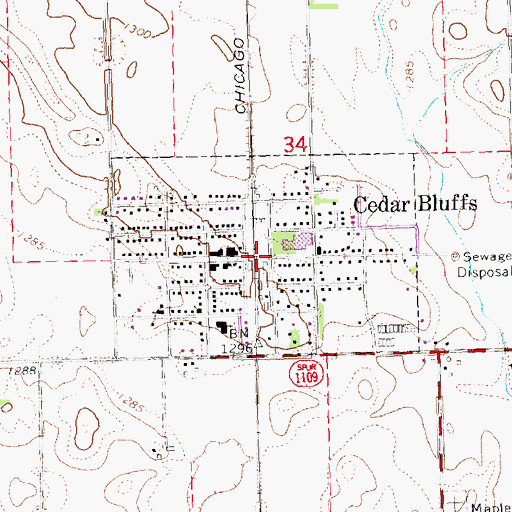 Topographic Map of Village of Cedar Bluffs, NE
