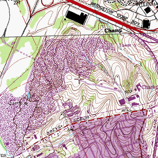 Topographic Map of Village of Champ, MO