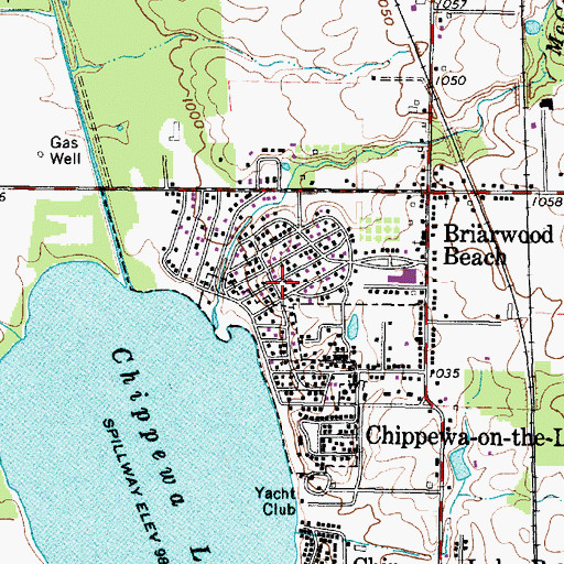 Topographic Map of Village of Chippewa Lake, OH