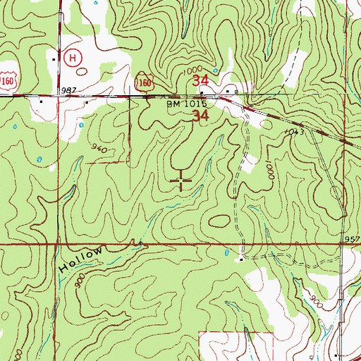 Topographic Map of Township of Bayou II, MO