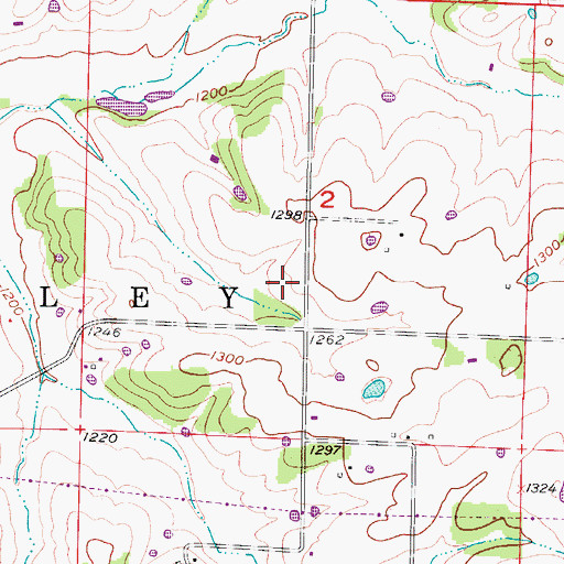Topographic Map of Township of East Finley, MO