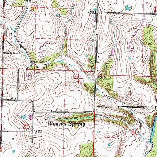 Topographic Map of Township of Garden Grove, MO