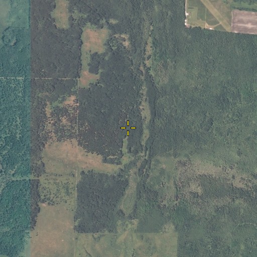 Aerial/Satellite Image of Township of Prosper, MN