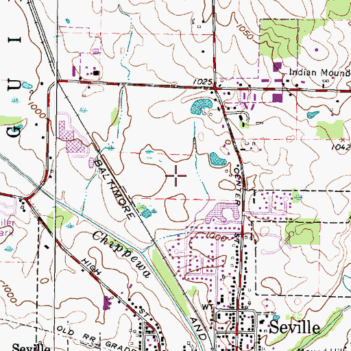 Topographic Map of Township of Seville Village, OH