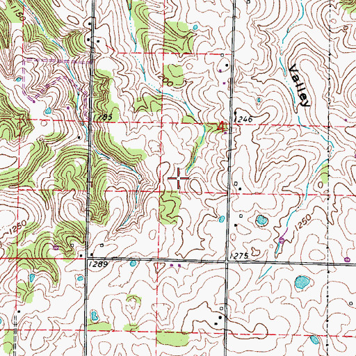 Topographic Map of Township of Union Chapel, MO