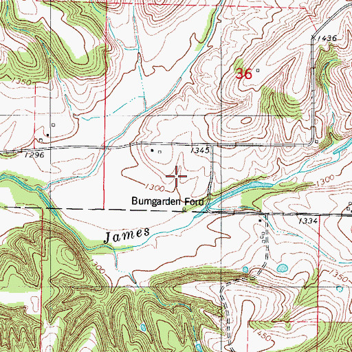 Topographic Map of Township of West Ozark, MO