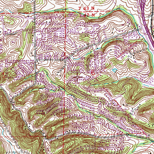 Topographic Map of Township of Windsor, MO
